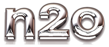 n2o logo